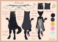Efendi's reference sheet (2021)