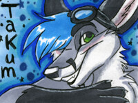 Takum AC 2008 Badge