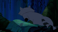 Meeko Butt #4