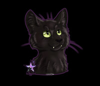 .:Comm:. Kitty Kitty!