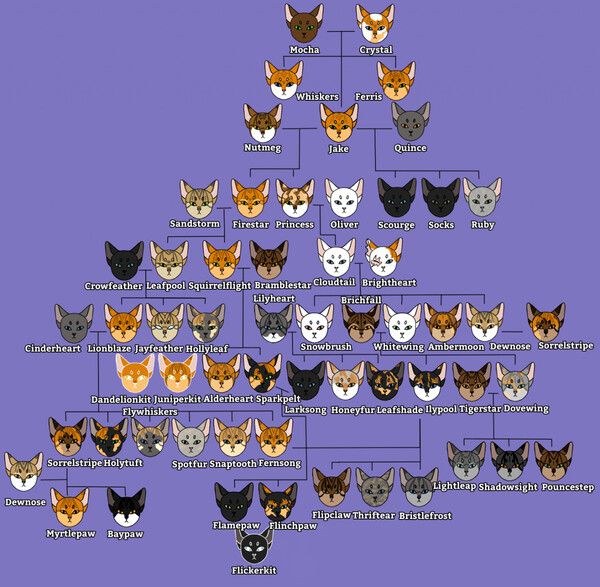 Firestar's Genetics and Family Tree by Thunderblaze – BlogClan