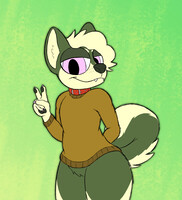 Shiba boy