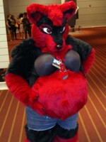Chemic, in the flesh...er...fur.
