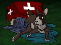 Run, rabbit, run