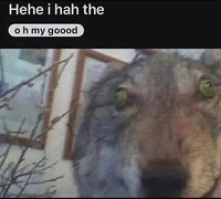 Hehe i hah the