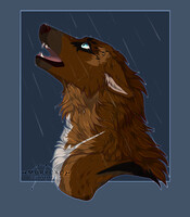 ych commission \\ AsterlieTimo