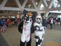 Fang meets a scout trooper