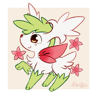 shaymin doodle
