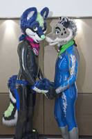 Nose bump between good shiny wetsuited boys (EuroFurence ...