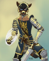 Knight raccoon