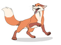 Angry Fox