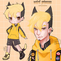 Cat adoptable//  Auction