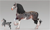 Horse adopt (Closed)