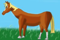 Akward Horse is just Awkward... did i spell ir right ?