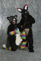 me and syberfox