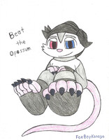 Opossum Paws