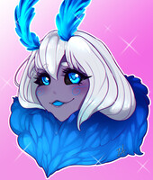 Moth head