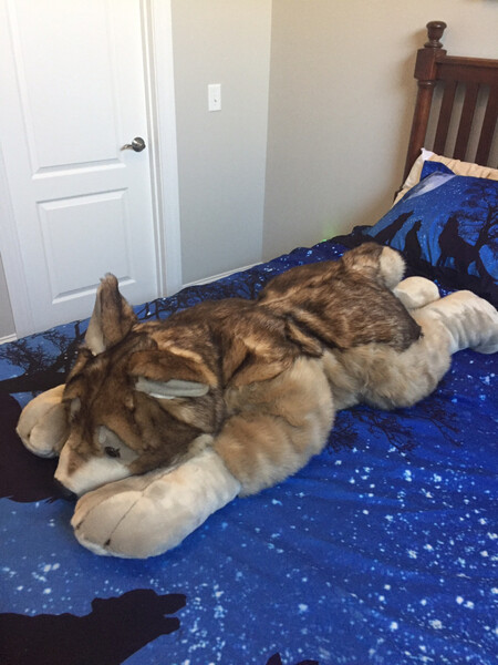 Sif the giant wolf plush by luvkipper3 Fur Affinity dot net