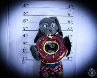 Furcation 2018 Photoshoot: Harebelle with Doughnut