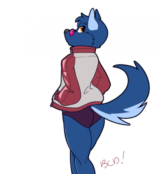 Jacket Dog by son-of-liberty -- Fur Affinity dot net