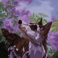 CM: │ Наталья Багракова │ [VK]