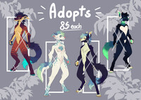 🐺WOLF ADOPS🐺