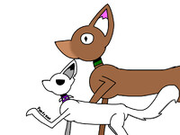 Warrior cats KitKat au