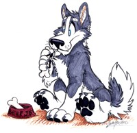 Bones for Beef Jerky