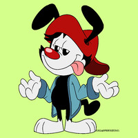 WAKKO