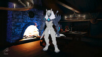 Fantasy tavern: choose your hero. ShiroKaiden 8