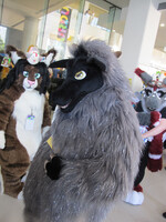 FurDU 2021: Silver Sheep at the DU