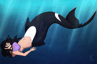 A sudden plunge