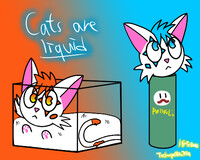Cats are liquid