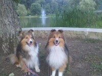 [PHOTO] Edan & CJ at the Park by Silaria