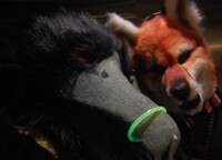 AnthroCon- Smokin...