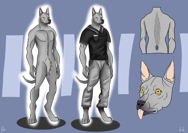 www.furaffinity.net