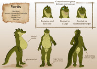 Vortis ref sheet 2021