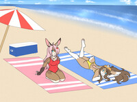 Commission: Hypernovagm 16