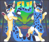 Fiji Reference