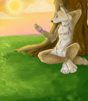 Song Of The Shepherds Dog