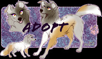 Dog Adopt [Open]