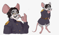 rat