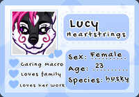 Id card for RedDragonwolf58