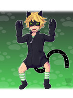 Little Chat noir