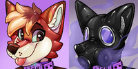 [C] AnjunaHusky