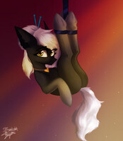 ych result