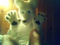 With my paws up