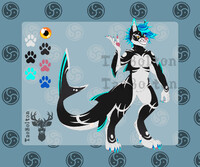 Shark Wolf Auction SB 30$ [CLOSED]