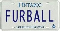Custom License plate