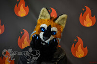 Cat Fursuit.